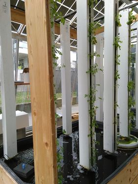  Aquaponics Setup, Beginner's Guide