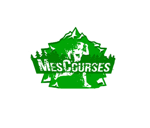 Ecom Logo MesCourses.png