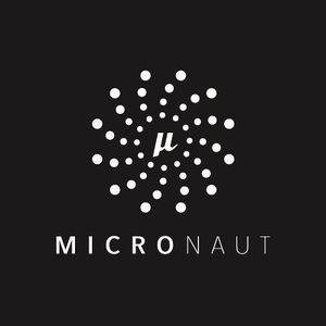 Micronaut.jpg